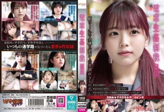 [YDNS-011] Train bareback fucking punishment #011